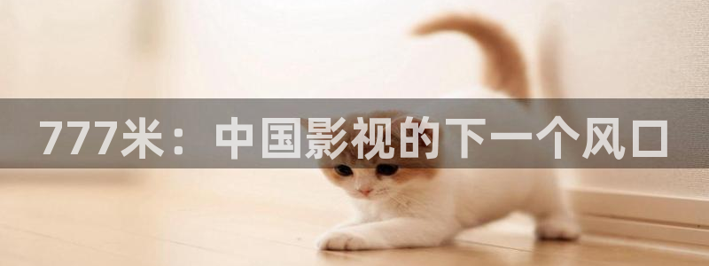 飘雪影视：777米：中国影视的下一个风口