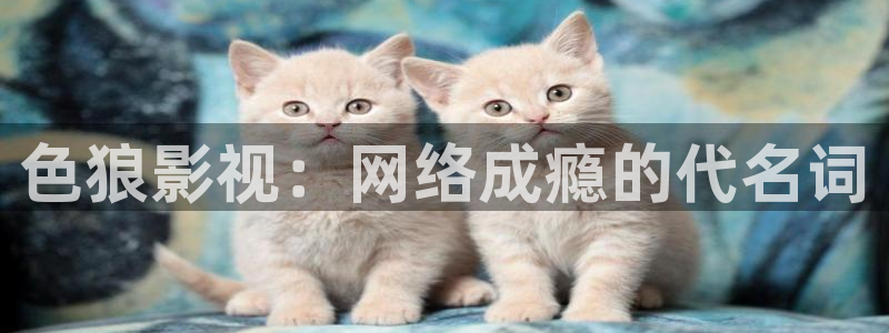 飘雪午夜影院：色狼影视：网络成瘾的代名词