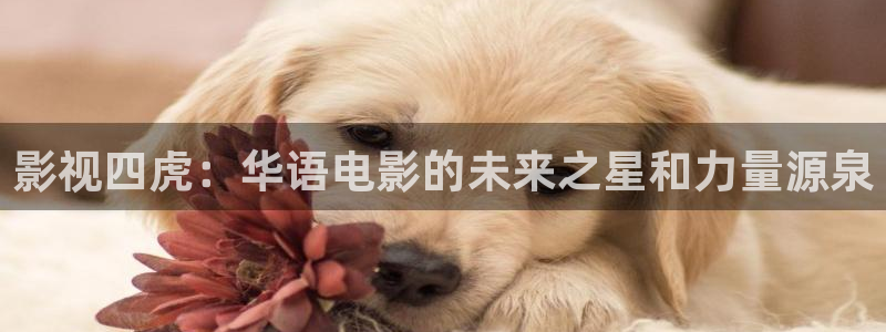 飘雪影院午夜：影视四虎：华语电影的未来之星和力量源泉